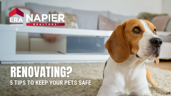 Richmond Pet Tips