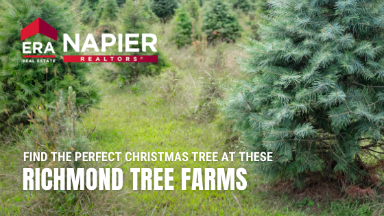 Richmond Tree Farm